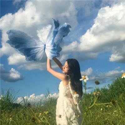 温德斯:狂野旅程